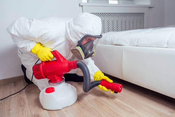 Pest Control for Hotels in Queens, NY